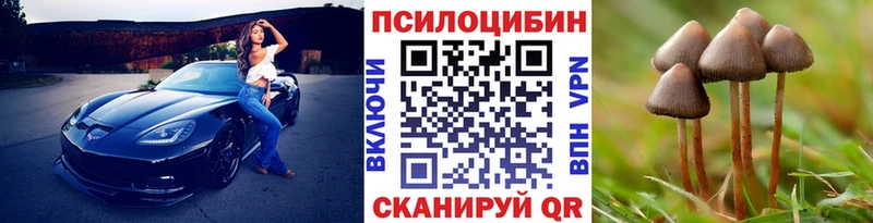 что такое наркотик Петропавловск-Камчатский Галлюциногенные грибы мицелий